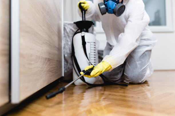 Best Pest Control for Homes  in North Kingsville, OH