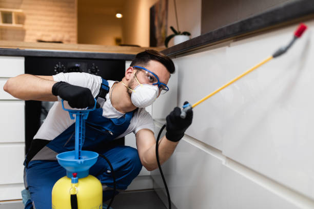 Best Flea Control Services  in North Kingsville, OH