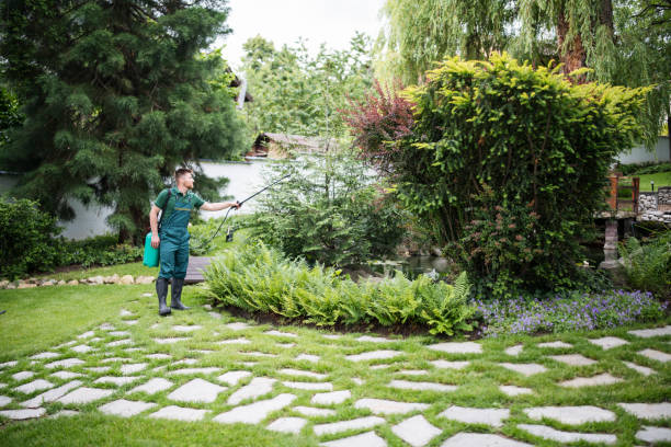 Best Affordable Pest Control Services  in North Kingsville, OH