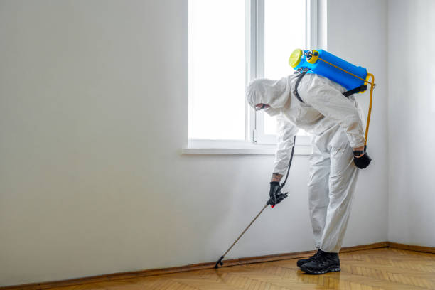 Reliable North Kingsville, OH Pest Control Solutions