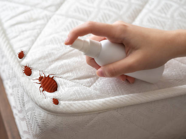 Best Commercial Pest Control Services  in North Kingsville, OH